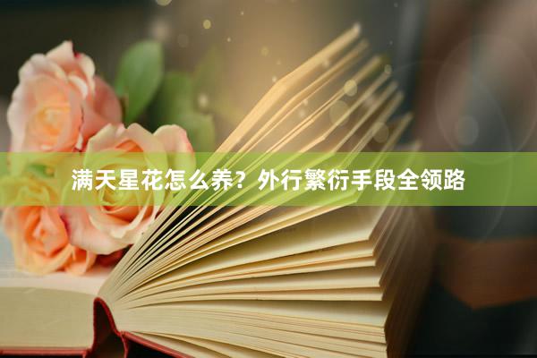 满天星花怎么养？外行繁衍手段全领路